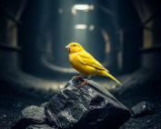 Canary in Coal Mine