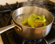 boil frog slowly